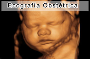 Ecografía Obstétrica
